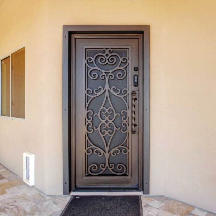 Best Security Doors for Homes: Enhancing Safety and Style - Share ...